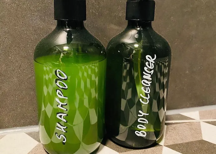 公寓 Amazing By P&m In Prenzlauer Berg 柏林